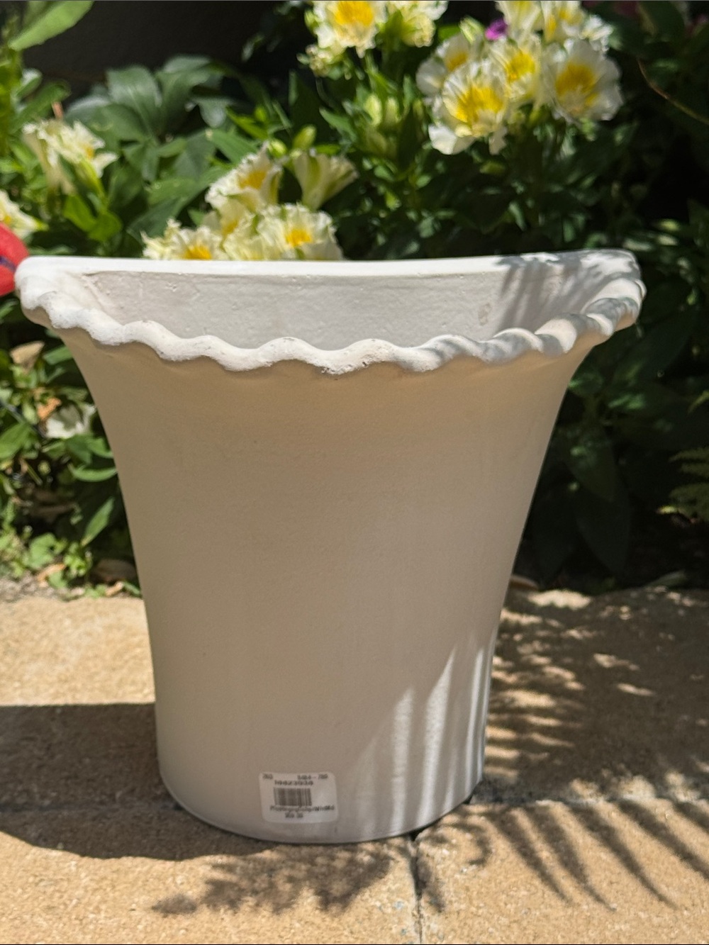 Pottery Barn Polermo Wall Mount Planter (Medium size) - New!
